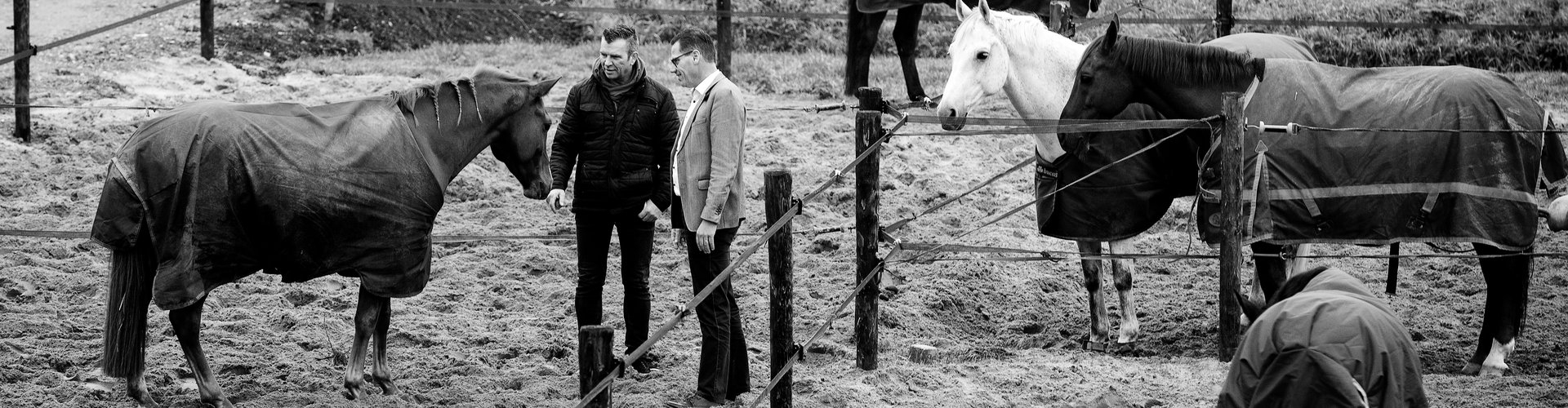 Bouwmeester Reining Horses